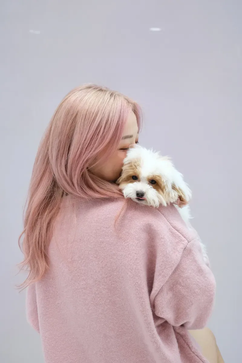 3b163368 231a 4a83 8970 C3b00232a6f9 1 102 O