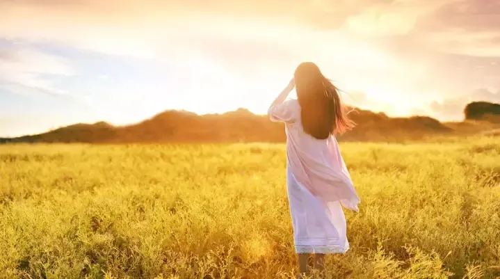 B9805a7a0ce84541ba272ddb645a2d94