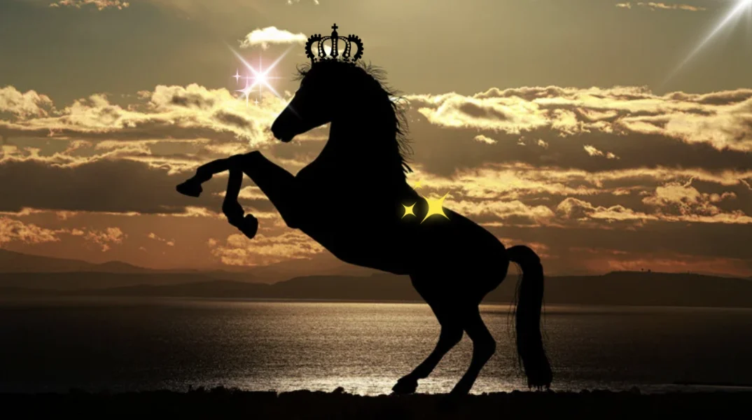 Cleanshot 2026 02 11 At 20.25.28@2x